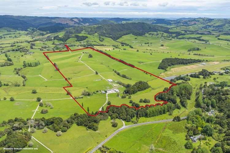 473 Kaipara Flats Road Kaipara Flats_2