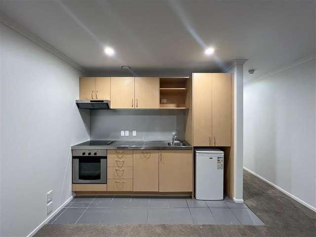 3f/20 Charlotte Street Eden Terrace_3