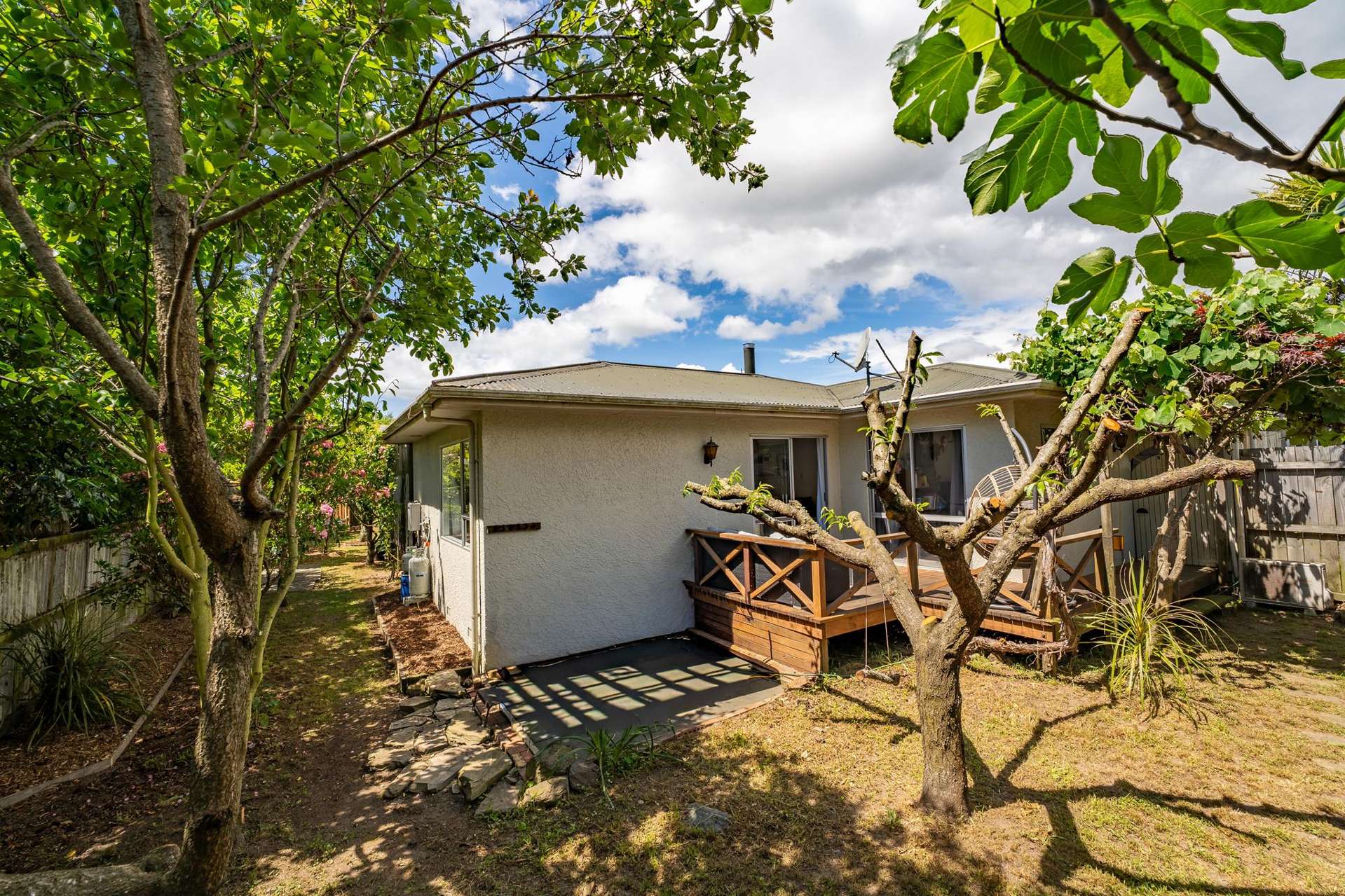 3/47a Green Street Tahunanui_0