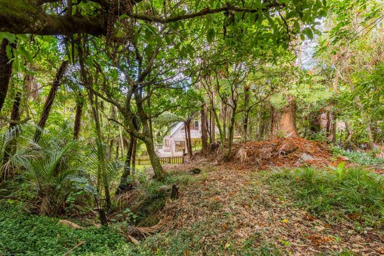 20 York Road Titirangi_18