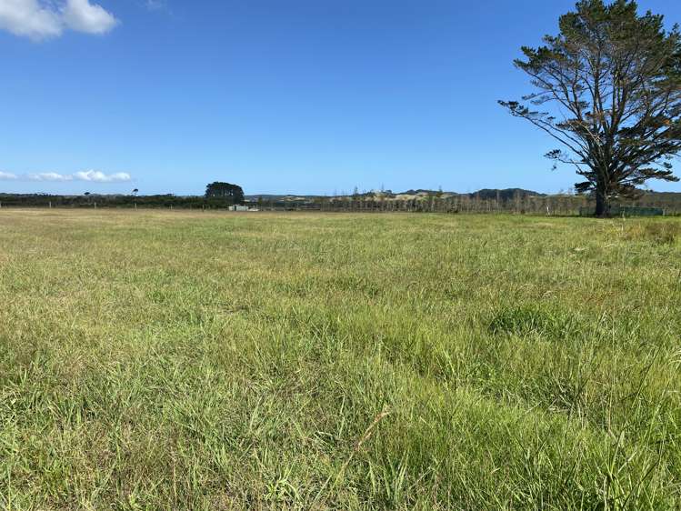 233 Heath Road Awanui_22