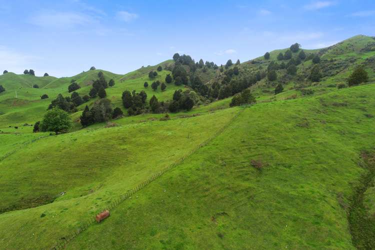 205 Tunanui Road Owhango_8