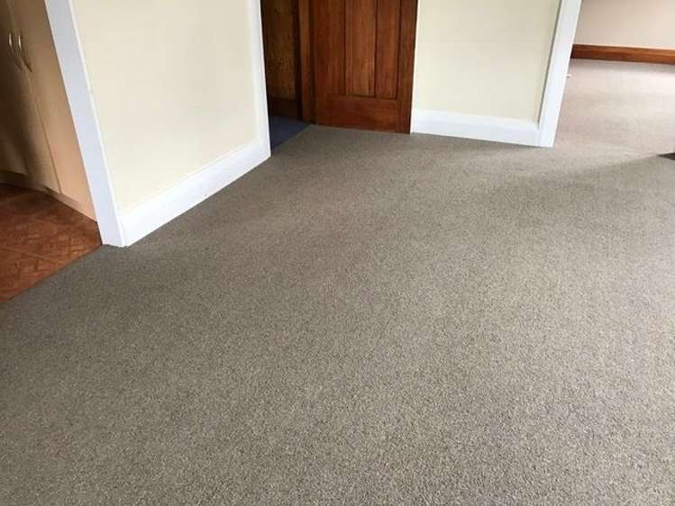 141 Forbury Road Saint Clair_13