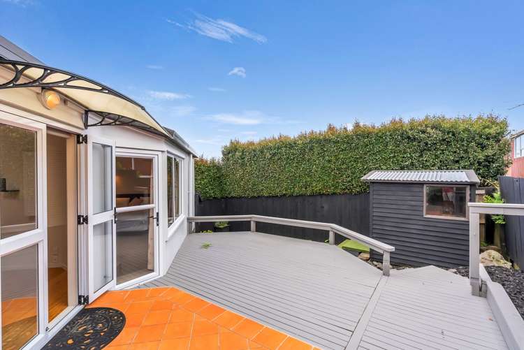 6A Ruapehu Street Mount Eden_19