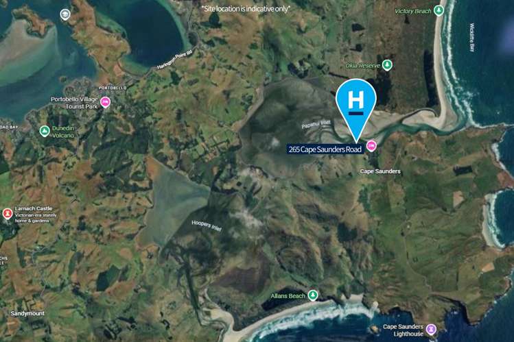 265 Cape Saunders Road Cape Saunders_15