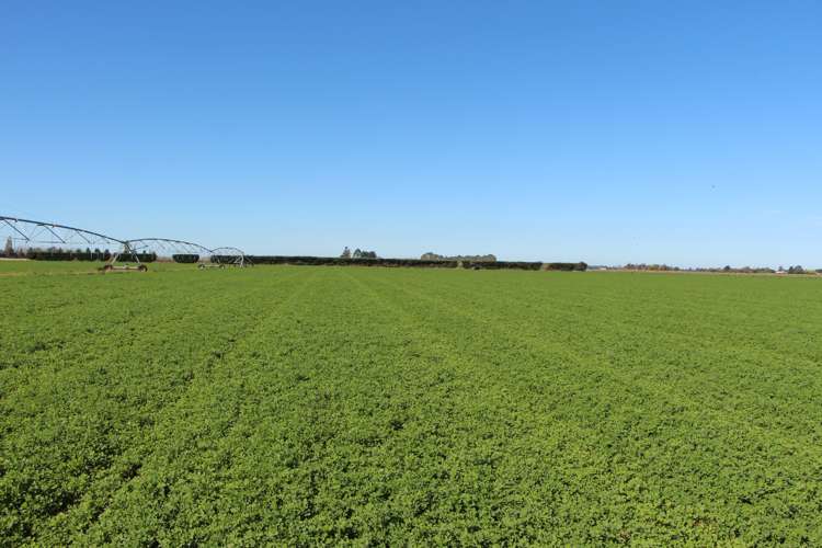 Naughton Road Kerrytown_2