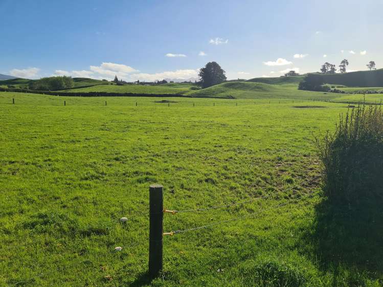 801 Mangorei Road Mangorei_25