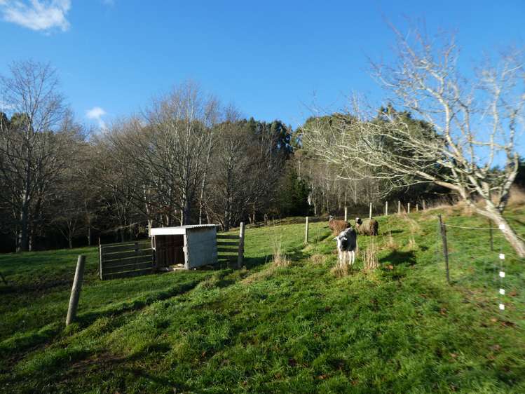 51 Needles Street Kaitangata_16