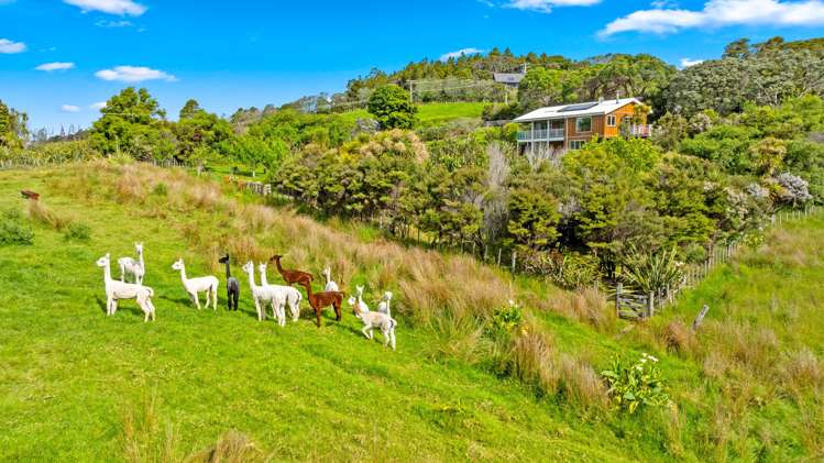 87 M Greenwood Road Leigh_50