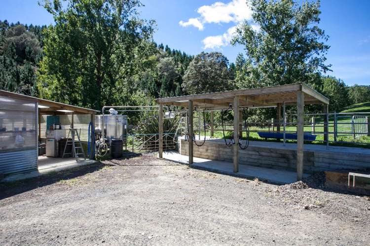 187 Judge Road Rotoorangi_4