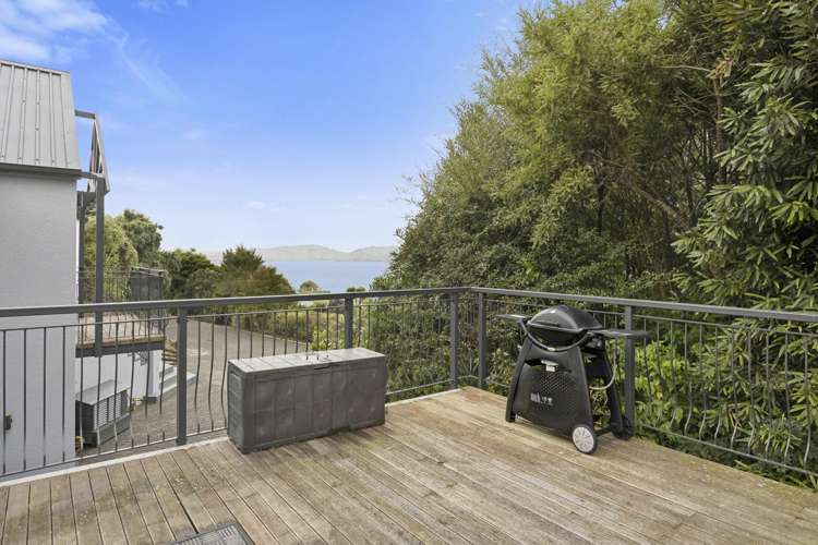 17 Tui Street Saint Leonards_10