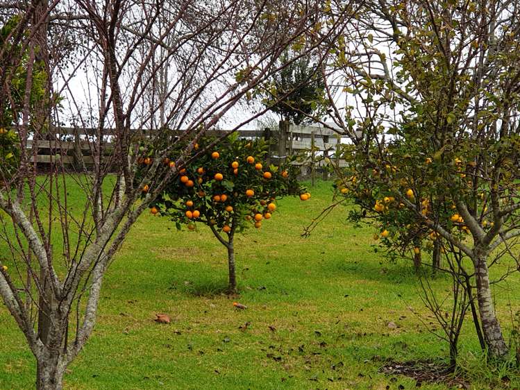 91 Jumna Road Maungaturoto_14