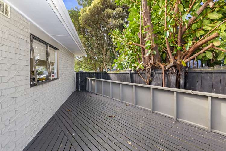 19 Stoll Place Clendon Park_10
