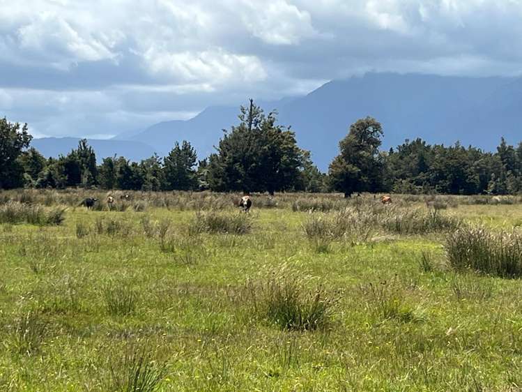 State Highway 6 Ross_12