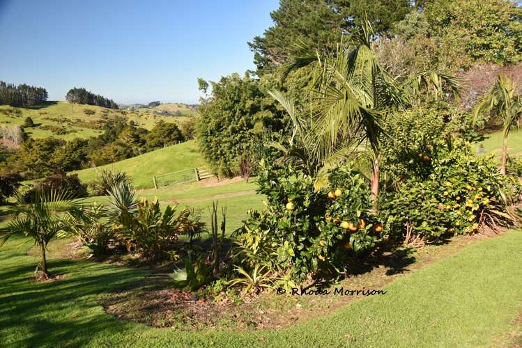 330 Franklin Road Paparoa_60