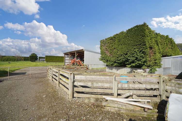 468 Lorne Dacre Road Roslyn Bush_23