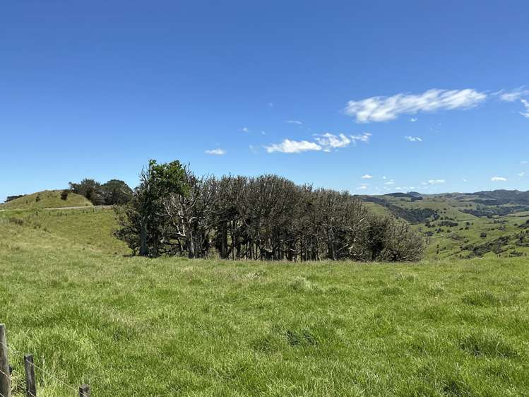 Lot 3 DP539905 Dill Road Kaipara Flats_4