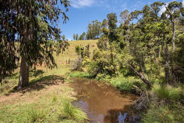 121 Gomez Road Hikurangi_1