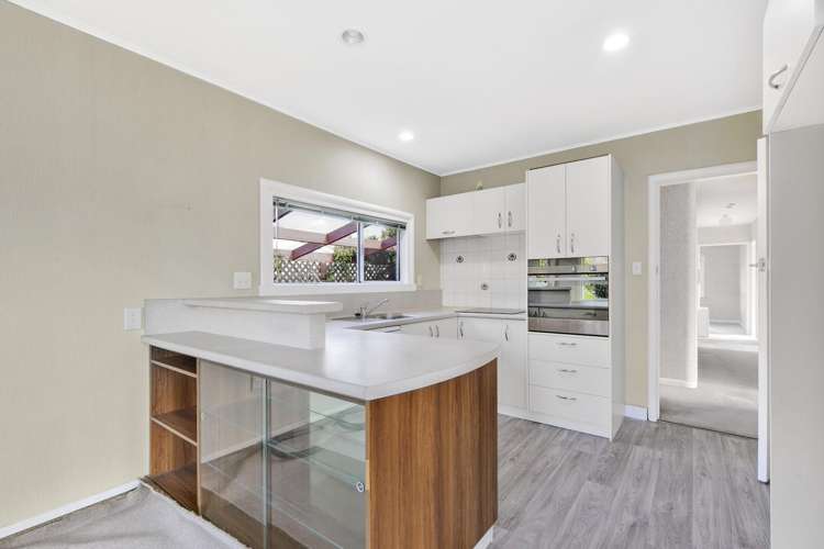 254 Songer Street Stoke_3