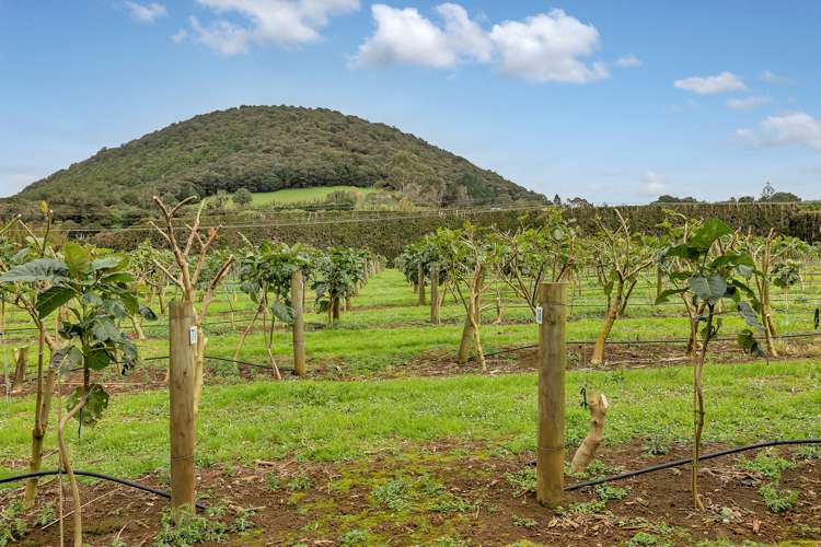 36 Elmsley Road Maungatapere_37