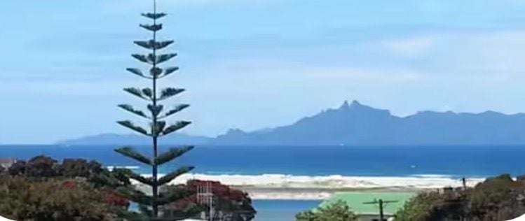 Address withheld Mangawhai Heads_0