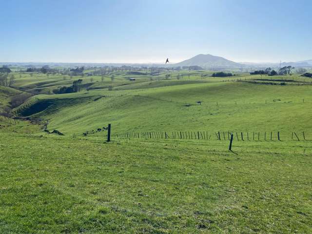 84 Tihiroa Road Otorohanga_3