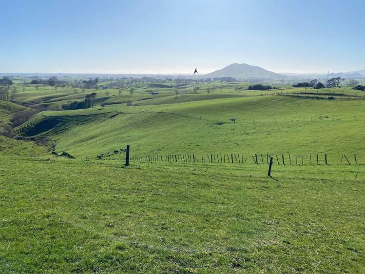 84 Tihiroa Road Otorohanga_3
