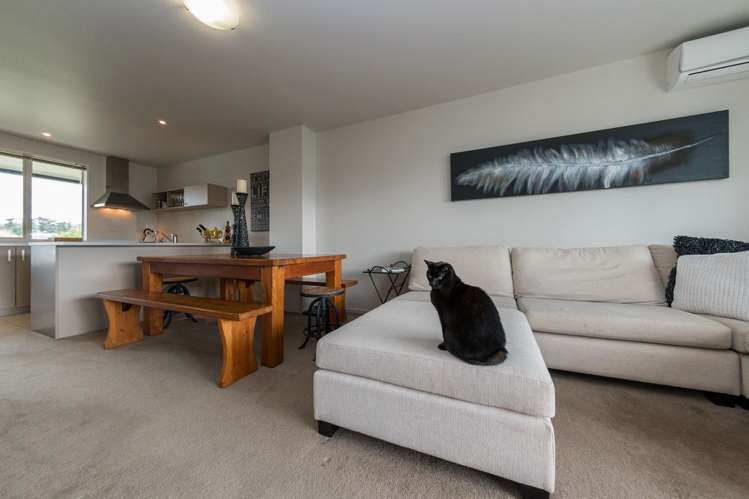 56 Haven Drive East Tamaki_11