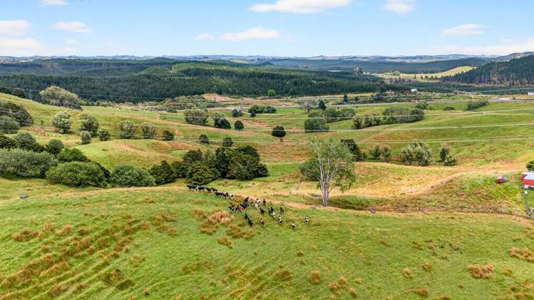 Lot 2 & 3 Otioro Road Kaiwaka_6