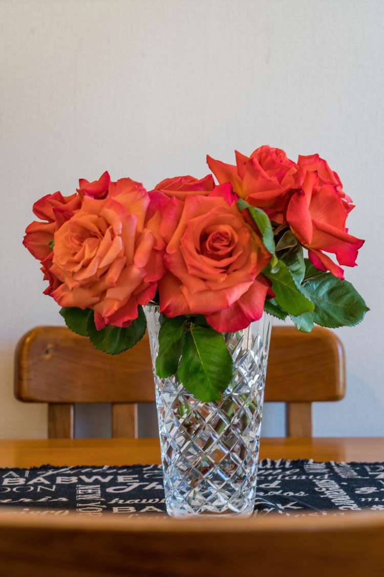 24 Wyndham Street Auckland Central_27