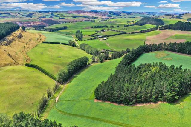 Exceptional Dairy Grazing and Finishing Farm