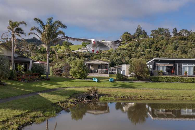 43 Scott Drive Cooks Beach_11