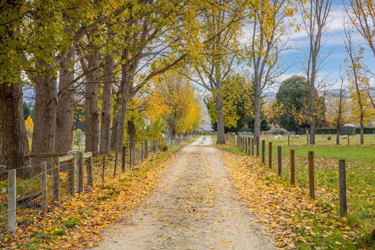 208 Fisher Lane Alexandra_26