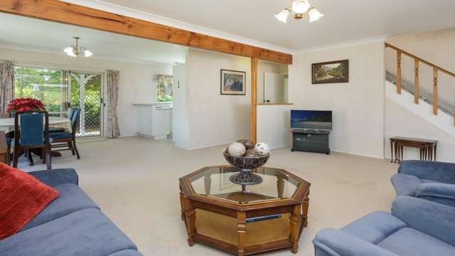 12b Alexander Street Tauranga South_1
