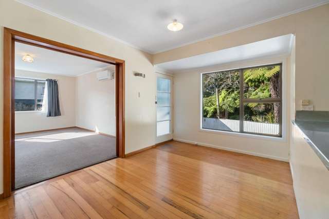 21 Nikau Street 1732_3