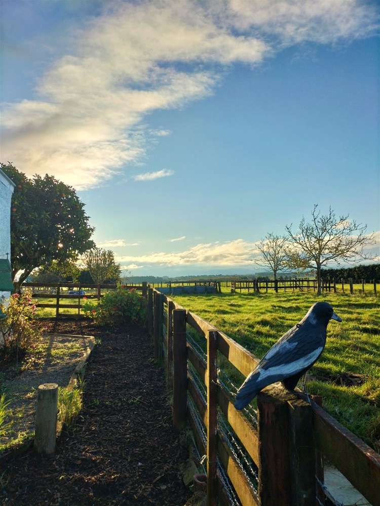 1440 Te Whiti Road Gladstone_16