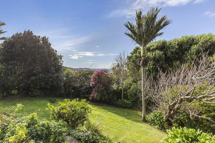 10 Wesley Road Kelburn_25