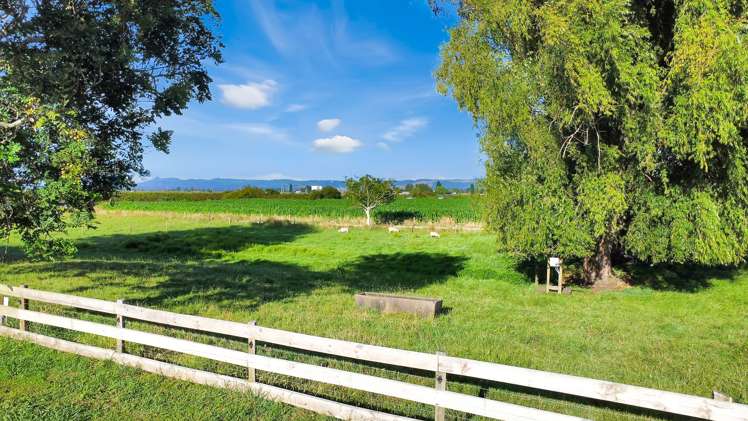 402 Awakeri Road Edgecumbe_23