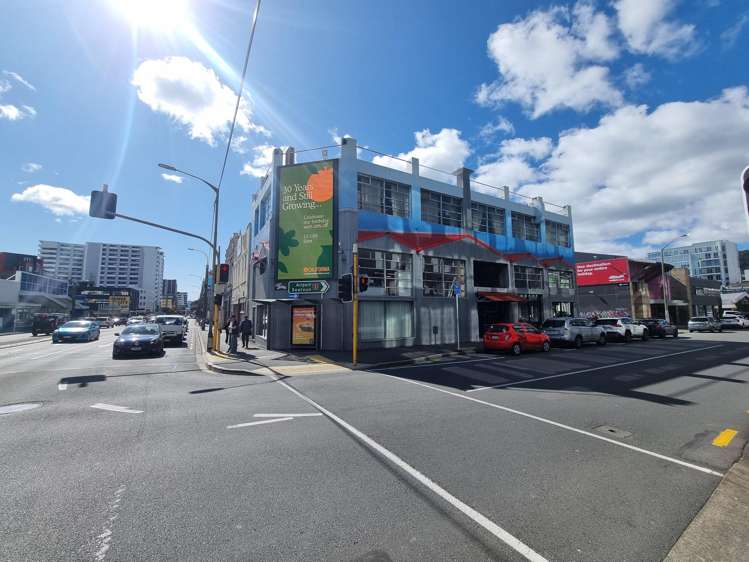 104 Vivian Street Te Aro_1