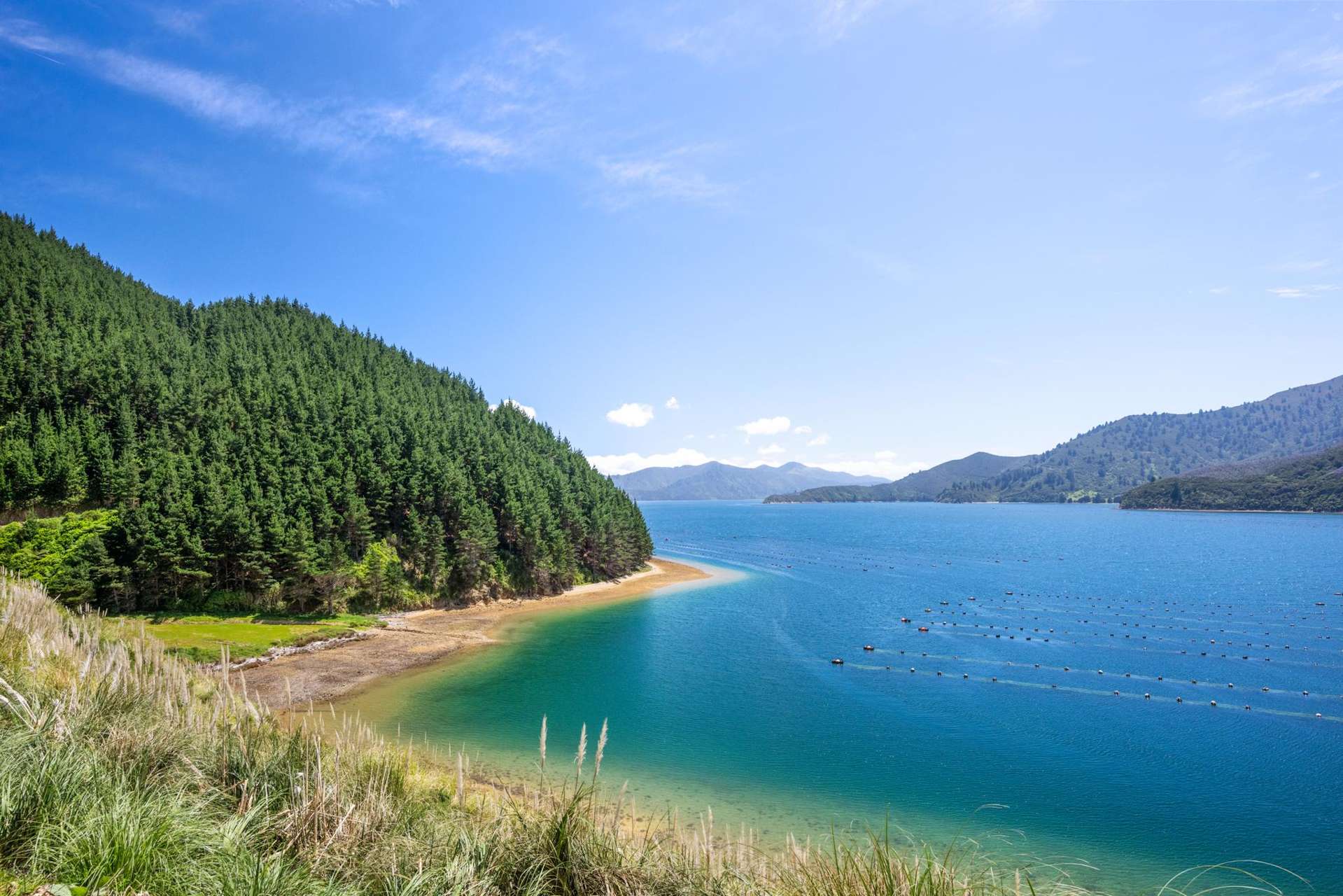 815 Manaroa Road Marlborough Sounds_0