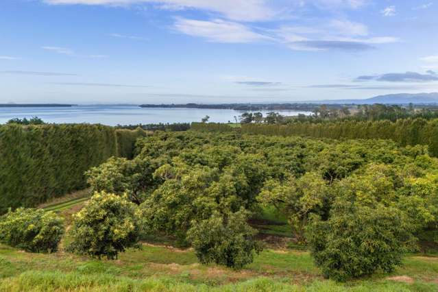 275 Athenree Road Katikati_4