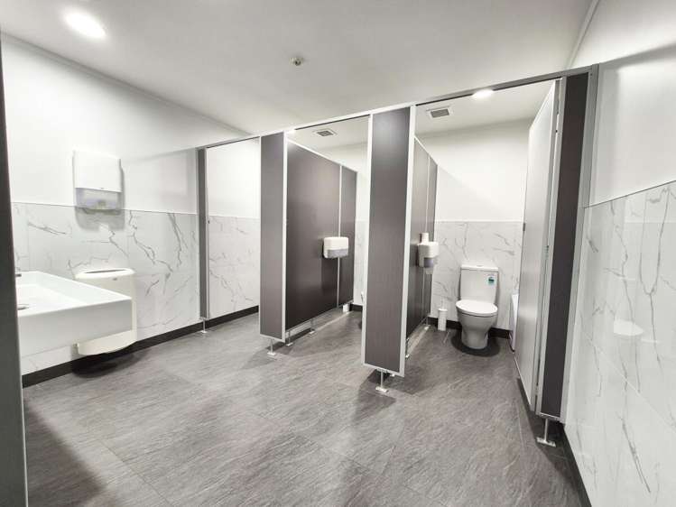 15 Walter Street Te Aro_12