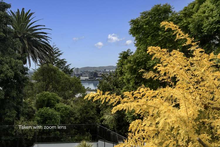 34 Darraghs Road Brookfield_10