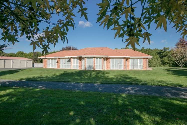 297 Bellevue Road Matangi_20