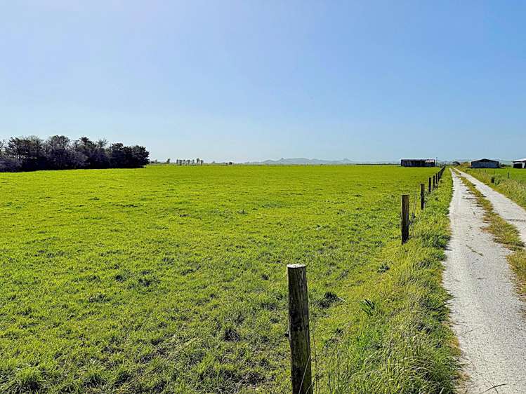 Freyberg Road Ruawai_2