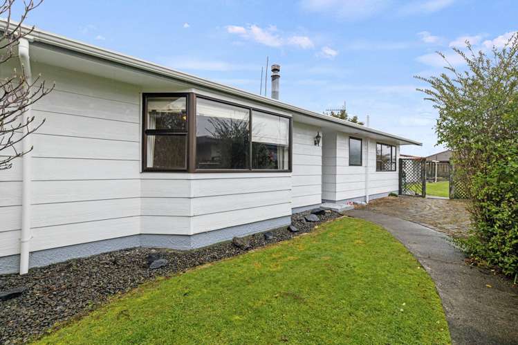 7 Pain Street Bulls_14