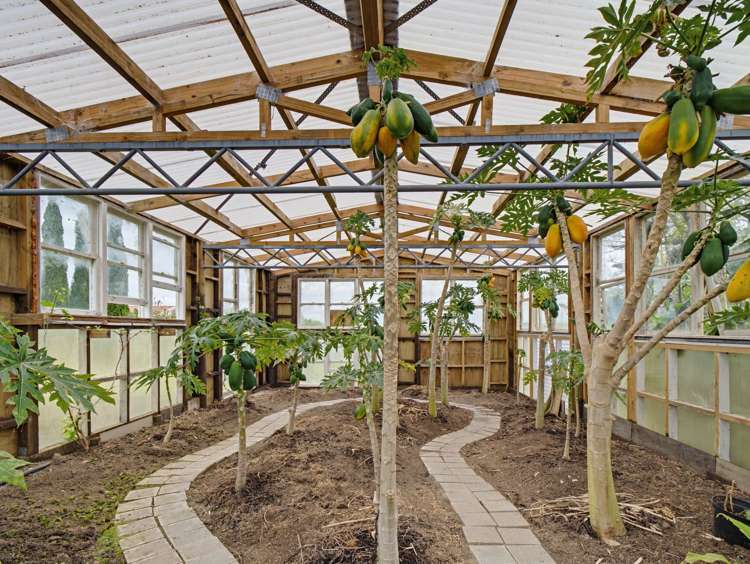 156 Petley Road Paparoa_33