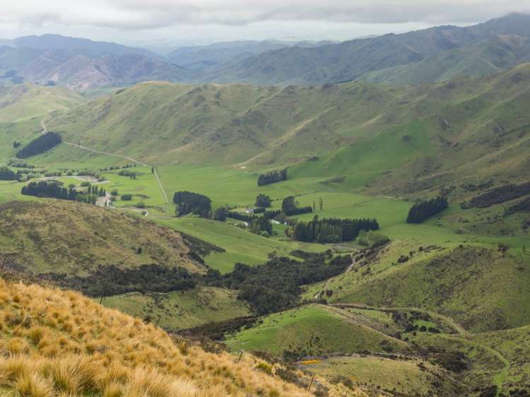 2081 Virginia Road Virginia_6