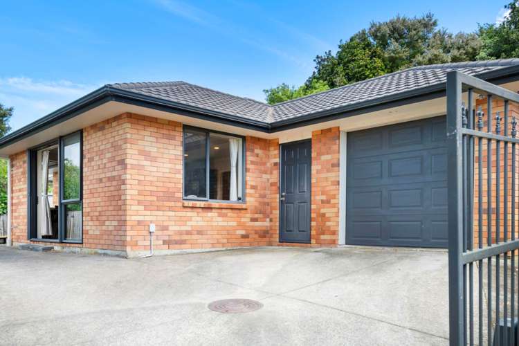 73a Marlborough Avenue Glenfield_10