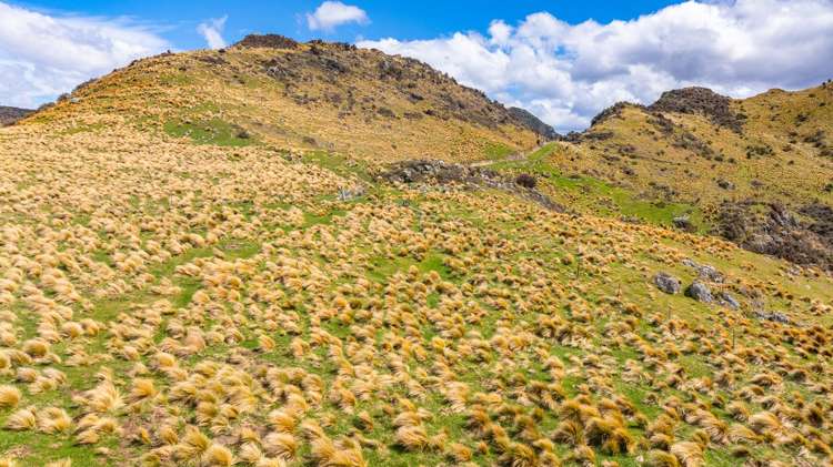 1157 The Peaks Road Hawarden_25